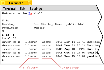 The ls -l Command